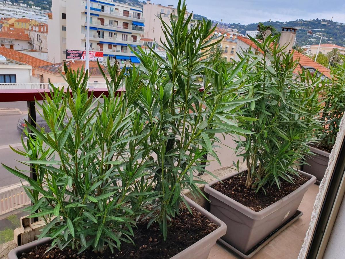 Hotel Brimer Cannes Exterior photo